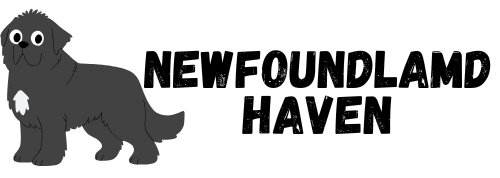 Newfoundland Haven